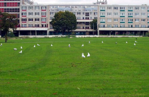 Broadwater farm