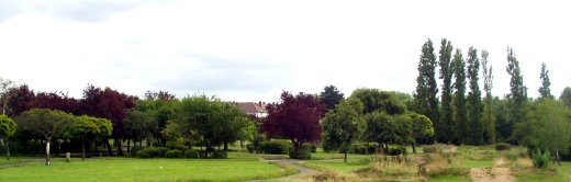 Lordship Rec Lordship Rec